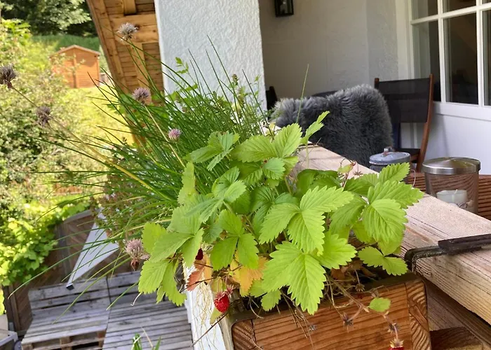 / Bergliebe Гармиш-Партенкирхен