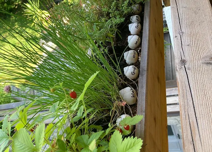 / Bergliebe Апартаменты *