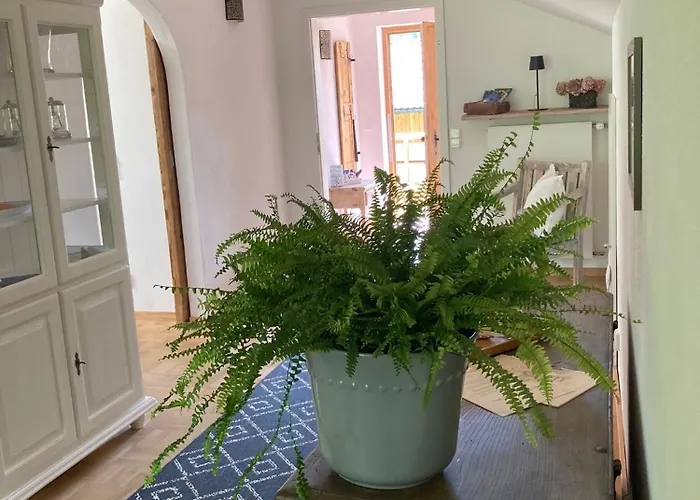 / Bergliebe アパート ガルミッシュ・パルテンキルヒェン